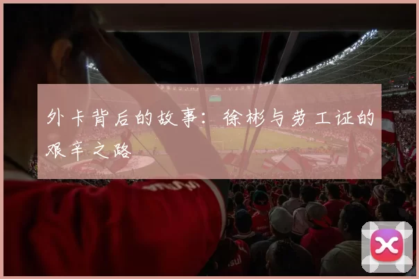 外卡背后的故事：徐彬与劳工证的艰辛之路