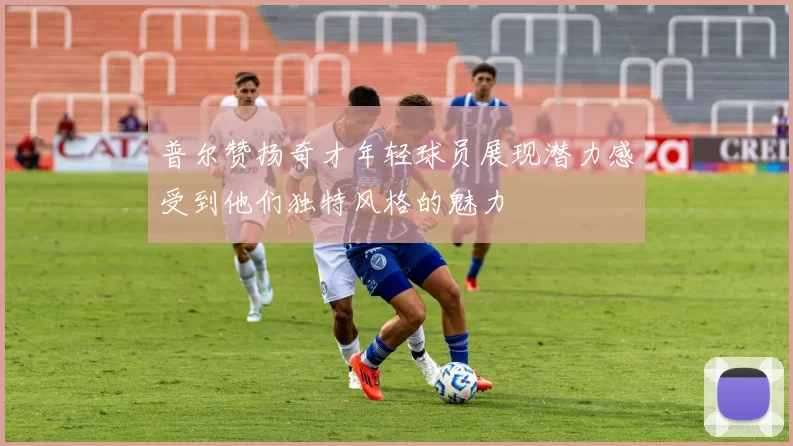普尔赞扬奇才年轻球员展现潜力感受到他们独特风格的魅力